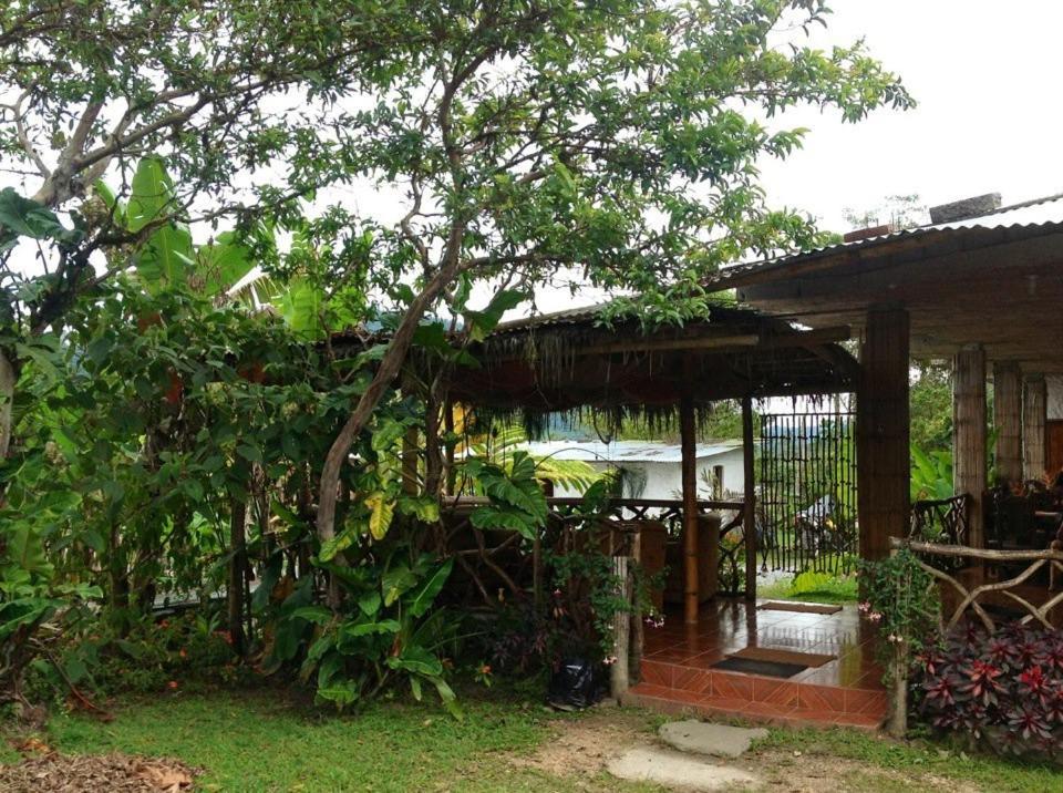 Hosteria Mindo Samay Juku Exteriér fotografie