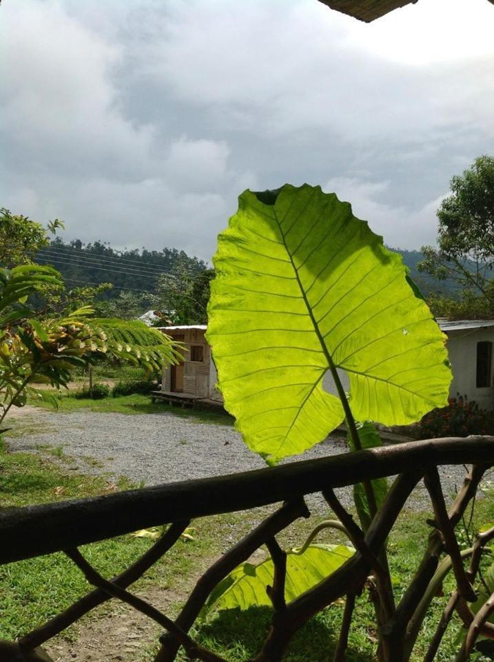 Hosteria Mindo Samay Juku Exteriér fotografie